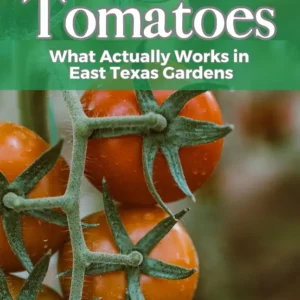 E-Book: Yes, You Can Grow Tomatoes